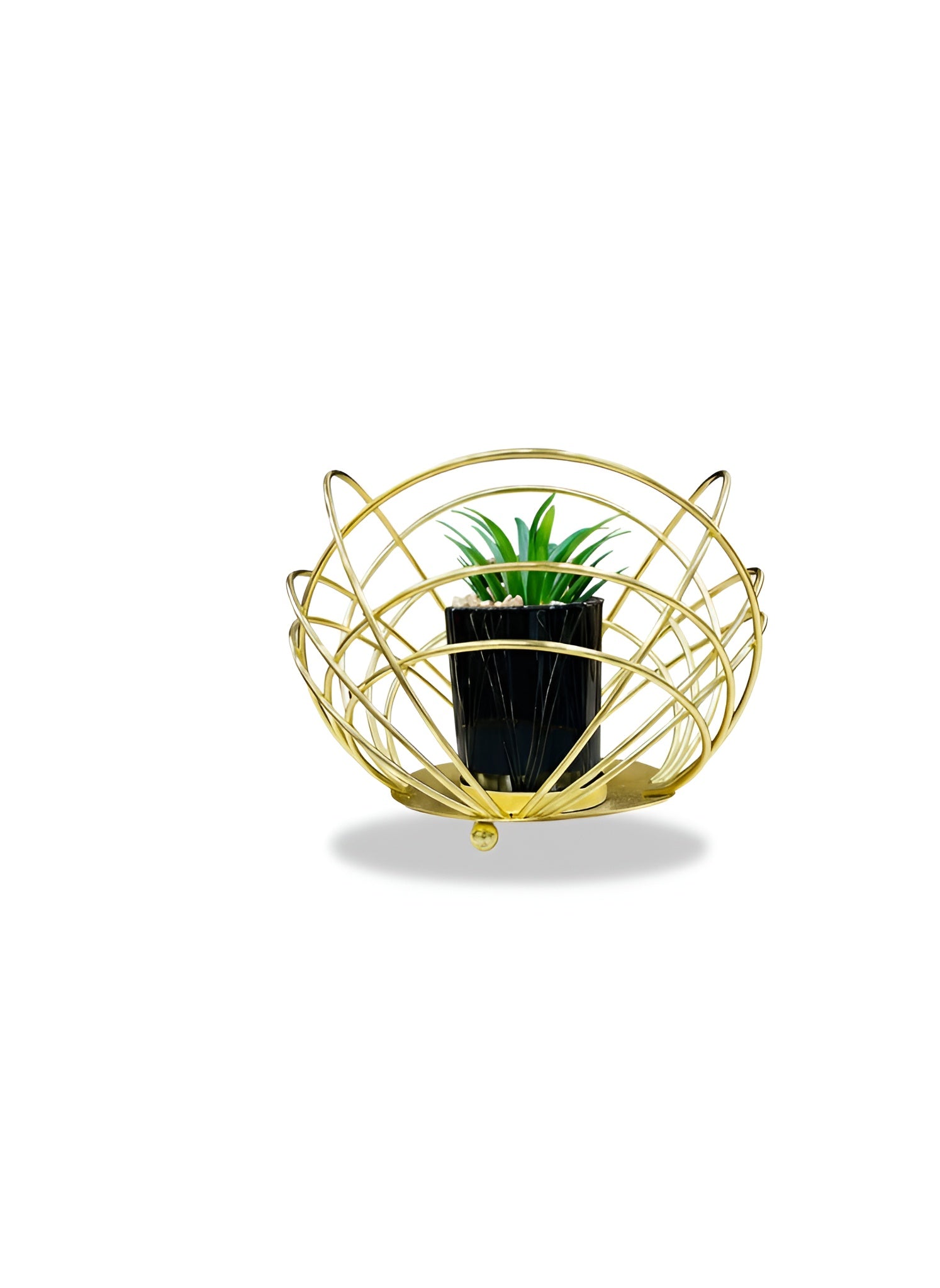 The Golden Orb Planter